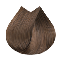 뉴앙셀 내추럴 브라운 다크 다크 - 뉴앙셀 | L'Or&eacute;al 파트너샵